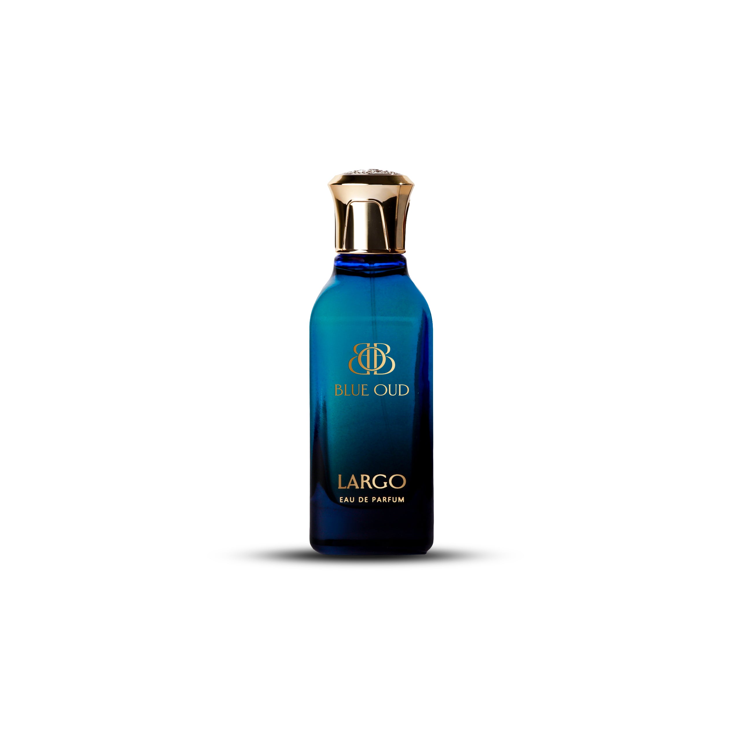LARGO PERFUME 100ML